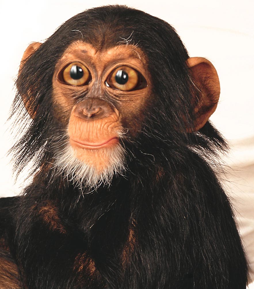 Diseño de Photoshop por happylittletree para DesignCrowd (Community Contests) | Diseño #9031750