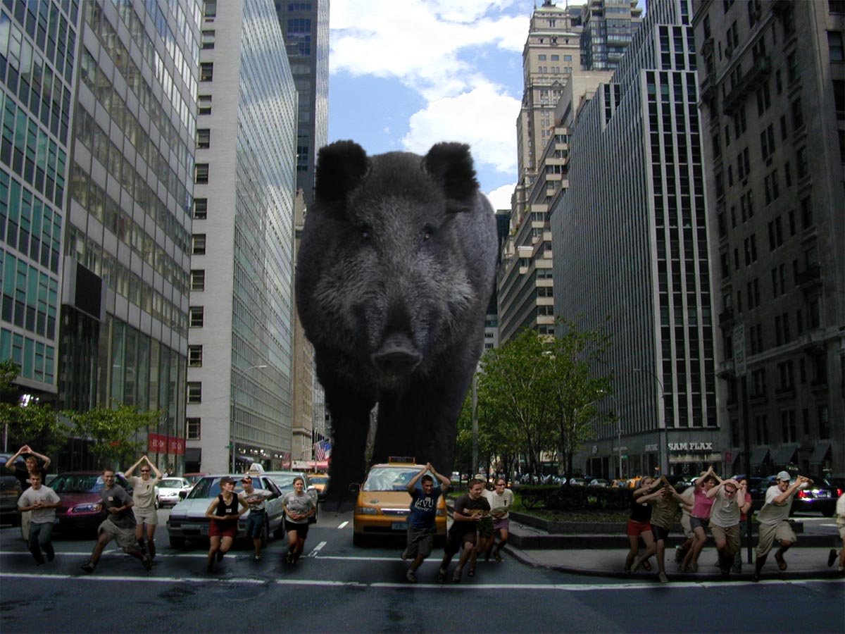 Photoshop Design by Fix1138 for DesignCrowd (Community Contests) | Design #9041433