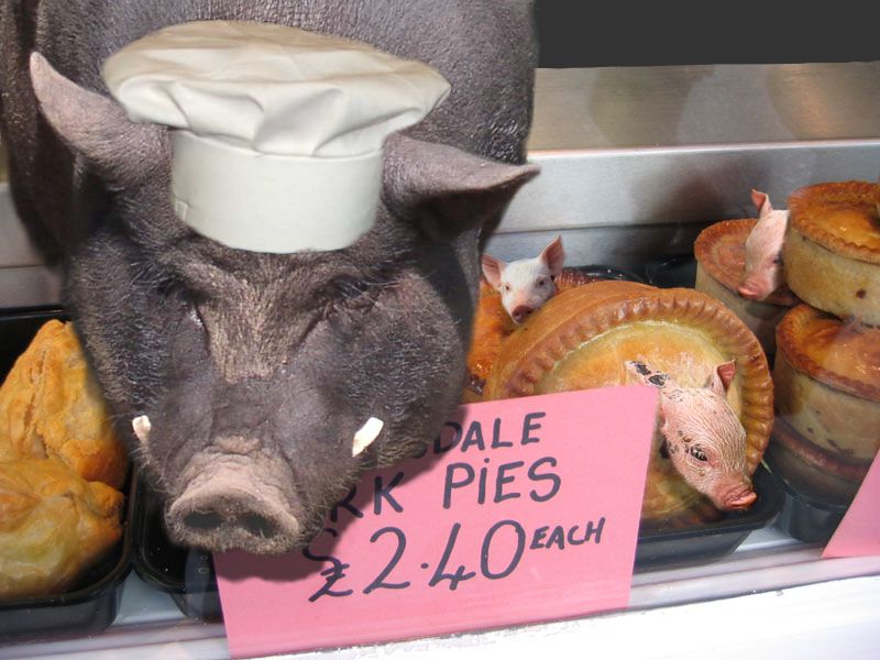 Diseño de Photoshop por Louweasel para DesignCrowd (Community Contests) | Diseño #9041466