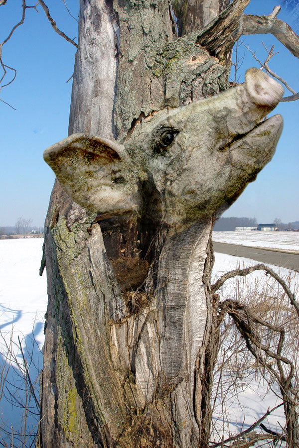 Diseño de Photoshop por Zalgren para DesignCrowd (Community Contests) | Diseño #9041469