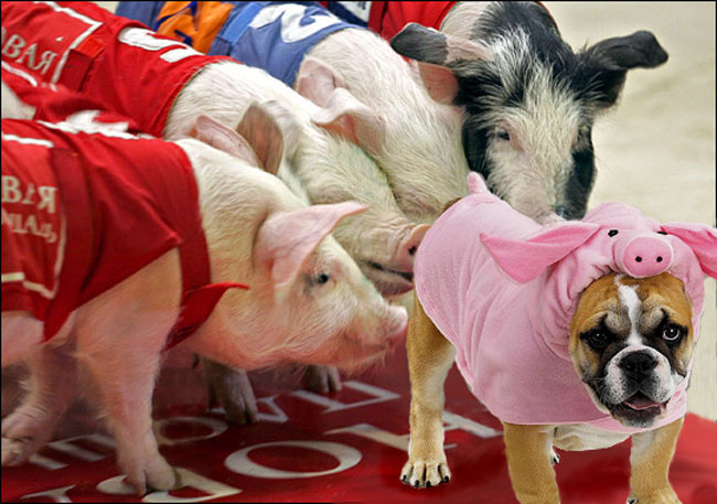 Design Photoshop par cridley pour DesignCrowd (Community Contests) | Design #9041549