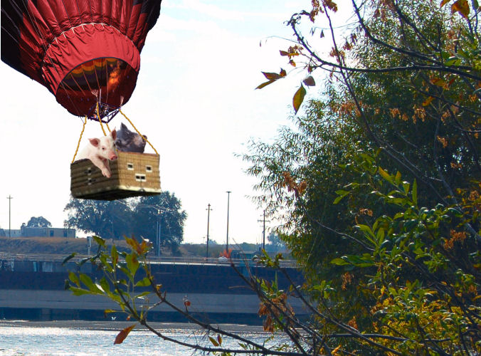 Photoshop Design by alwaysbeencreative for DesignCrowd (Community Contests) | Design #9041602