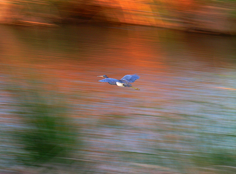 Photography by mischief83 for DesignCrowd (Community Contests) | Design #9042213