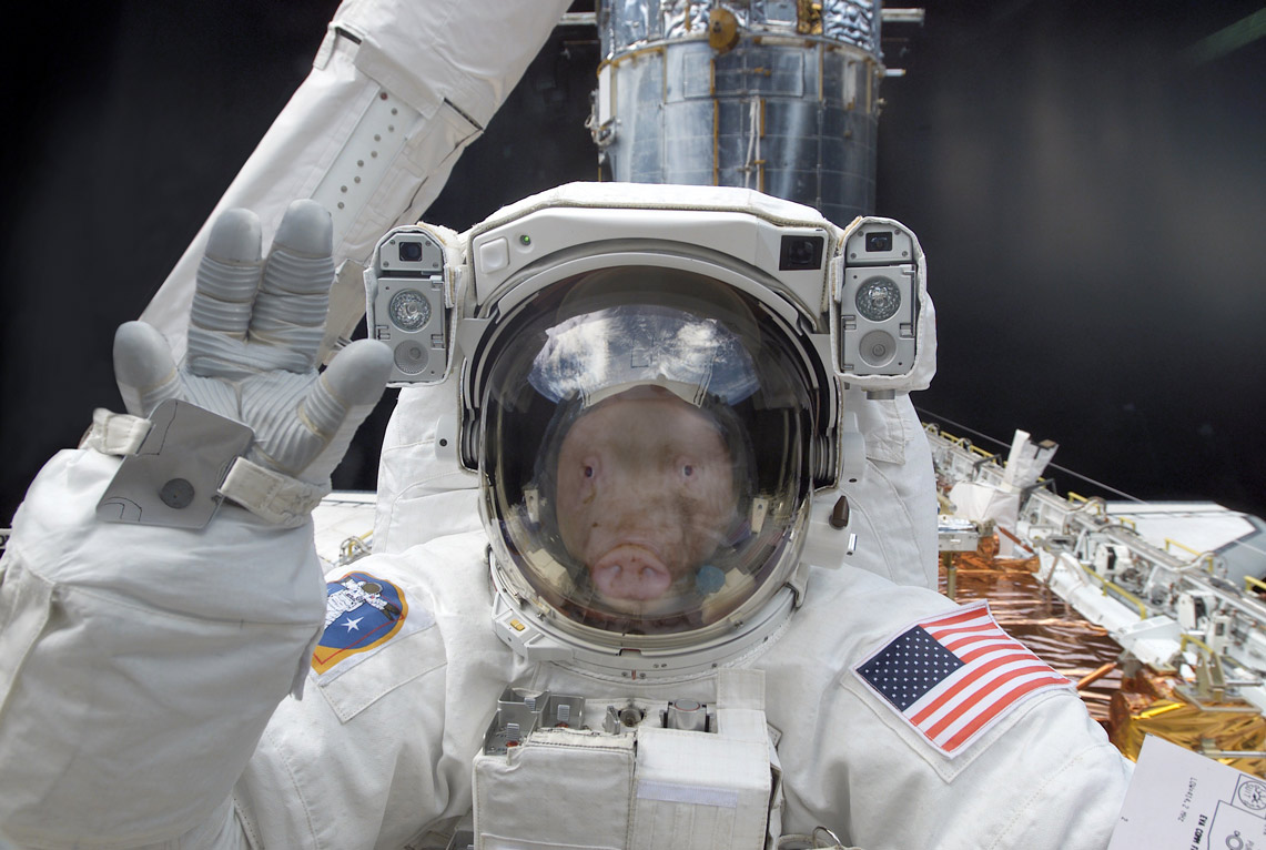 Photoshop Design by fregniacciaro for DesignCrowd (Community Contests) | Design #9041532