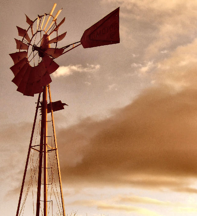 Fotografía por Suziecuchon para DesignCrowd (Community Contests) | Diseño #9041480