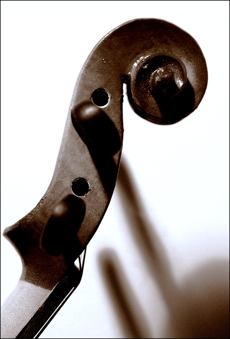 Fotografía por Ronbrandt para DesignCrowd (Community Contests) | Diseño #9045756