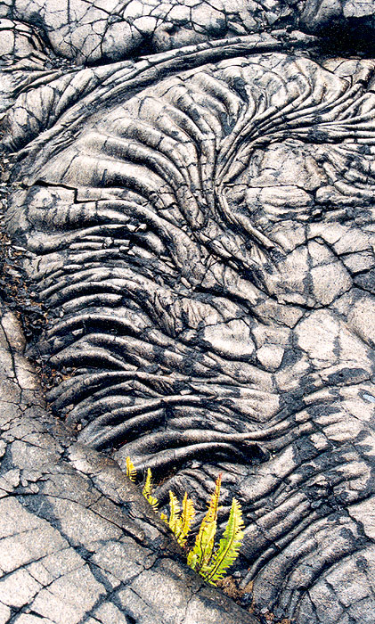 Photography by MisterSir for DesignCrowd (Community Contests) | Design #9045805