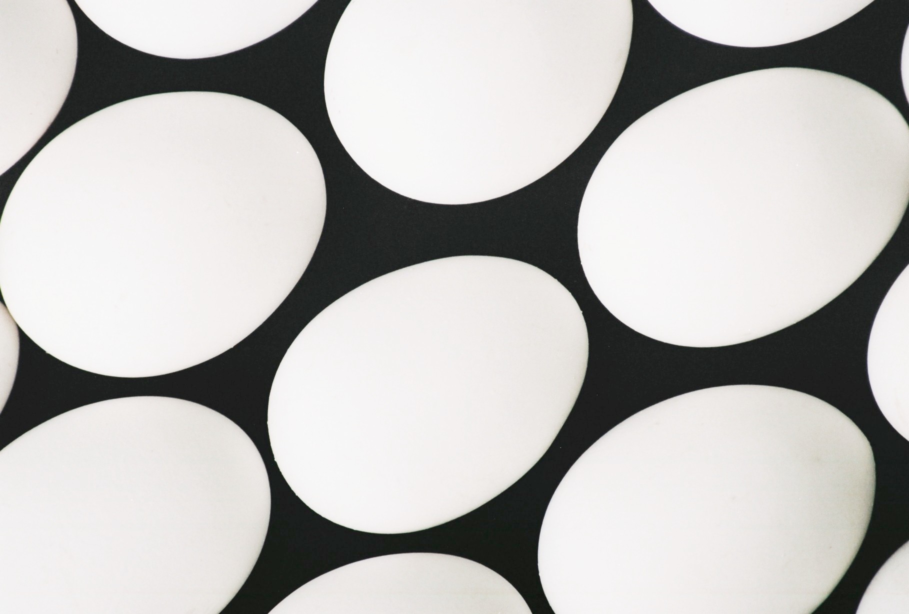 Photography by kalyangantait for DesignCrowd (Community Contests) | Design #9045919