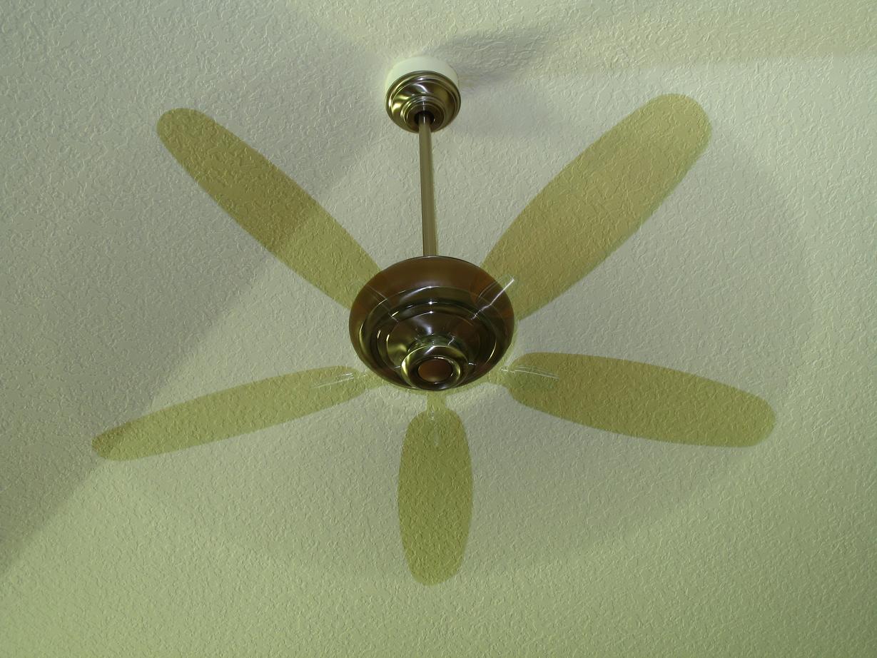 Photography by jersalv1 for DesignCrowd (Community Contests) | Design #9041519