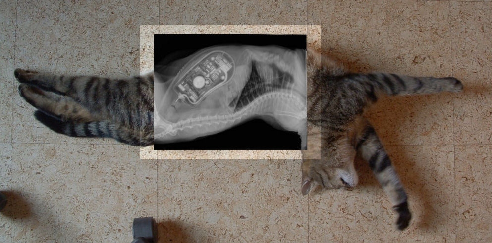 Photoshop Design by Irrwitzer for DesignCrowd (Community Contests) | Design #9040009