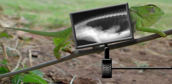 Photoshop-Design von Proverb für DesignCrowd (Community Contests) | Design #9040050