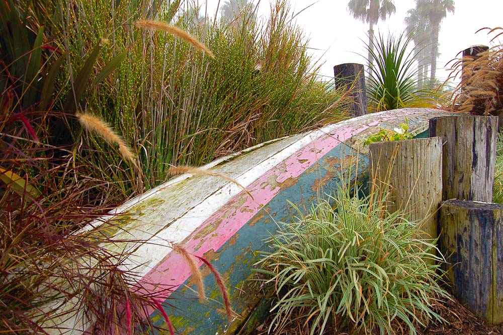 Photography by firebox-RococoRevivalist for DesignCrowd (Community Contests) | Design #9045891