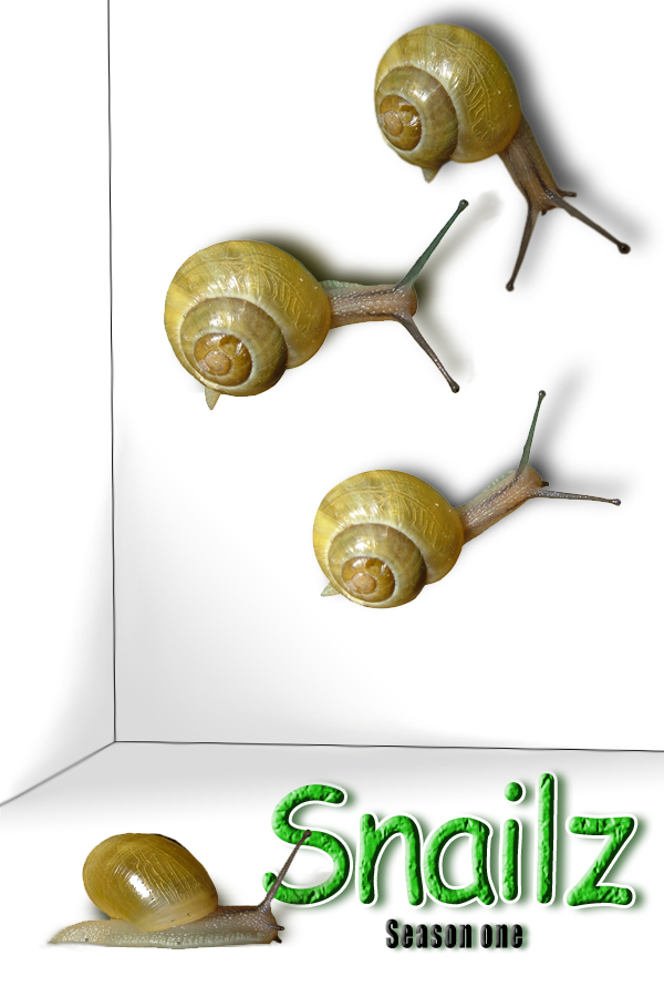 Photoshop Design by Palogyk for DesignCrowd (Community Contests) | Design #9030163