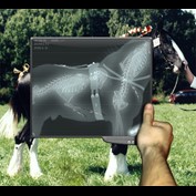 Photoshop Design by Clintonmc