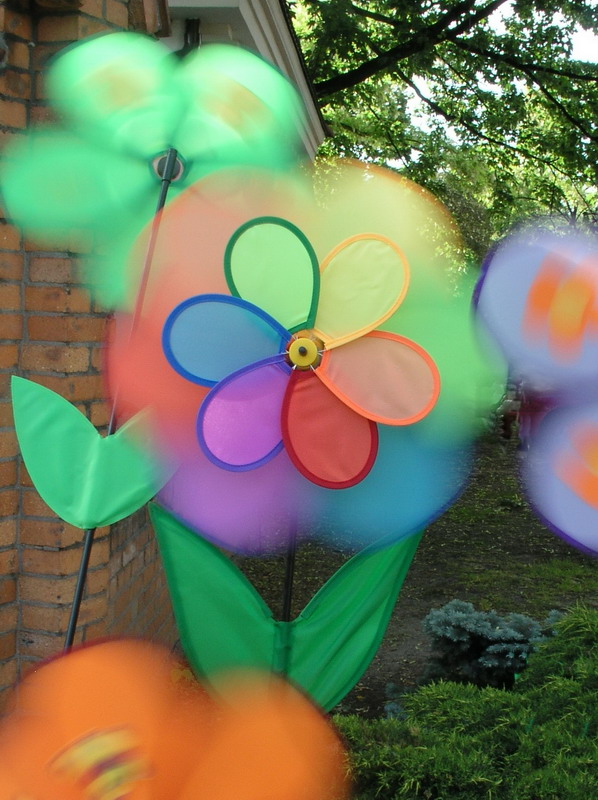 Photographie par mzmzmzmz pour DesignCrowd (Community Contests) | Design #9041616