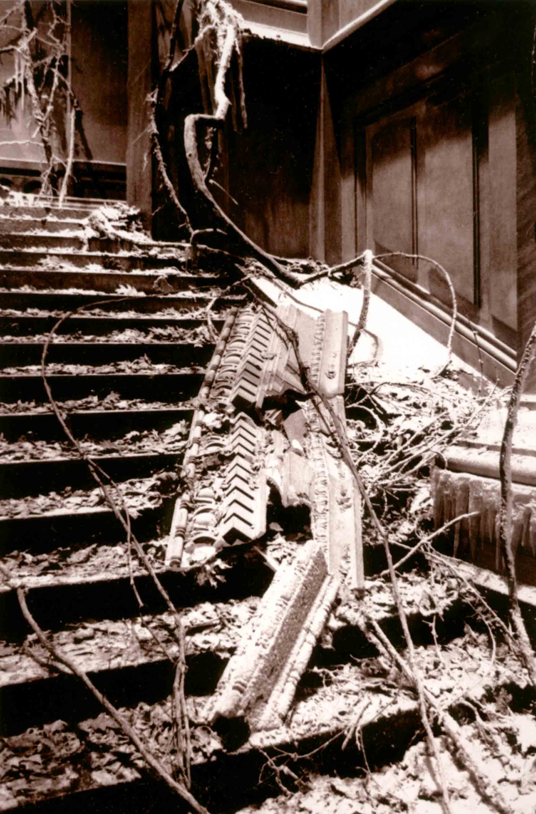 Photography by copr369 for DesignCrowd (Community Contests) | Design #9040166