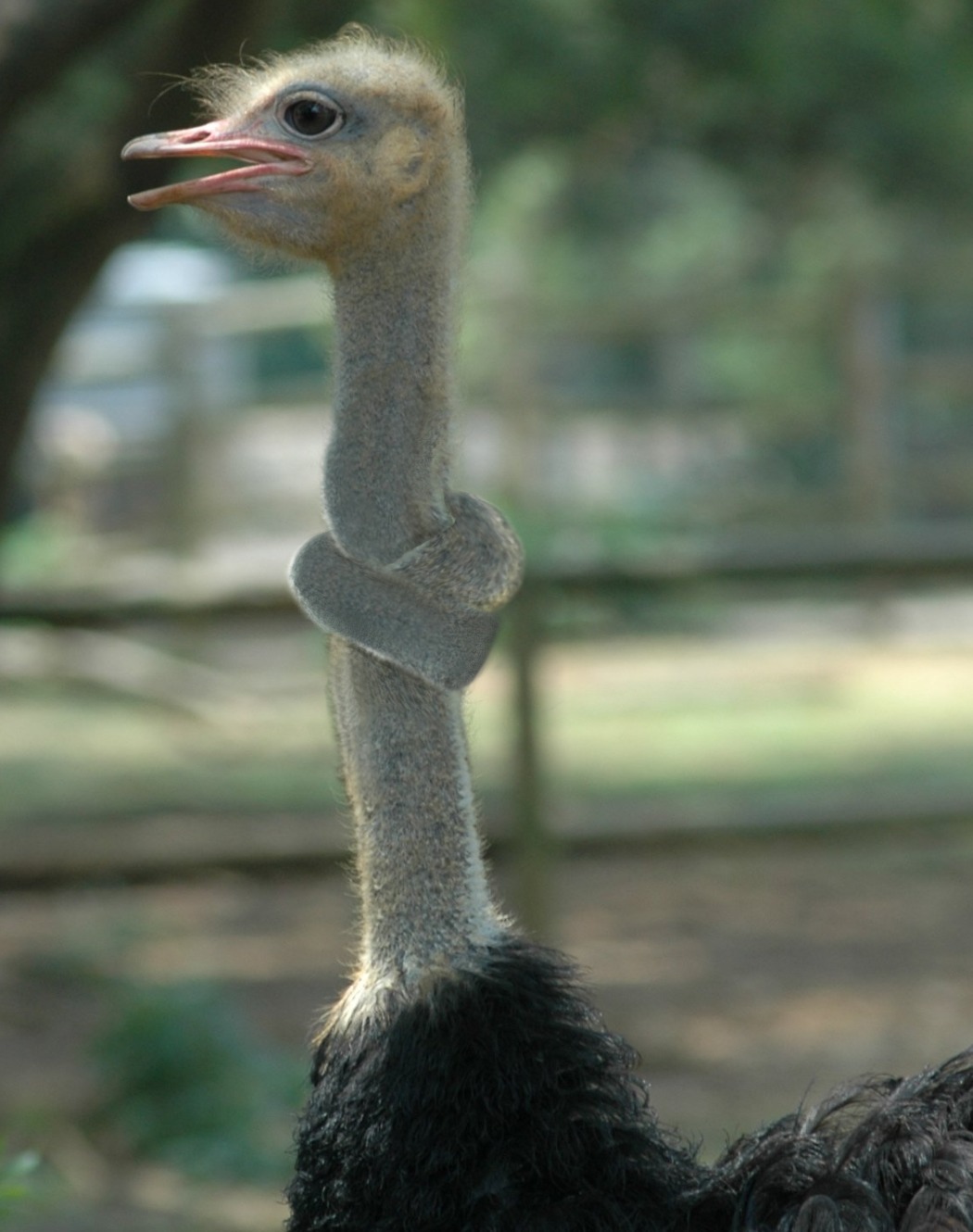 Diseño de Photoshop por Spudley99 para DesignCrowd (Community Contests) | Diseño #9041680