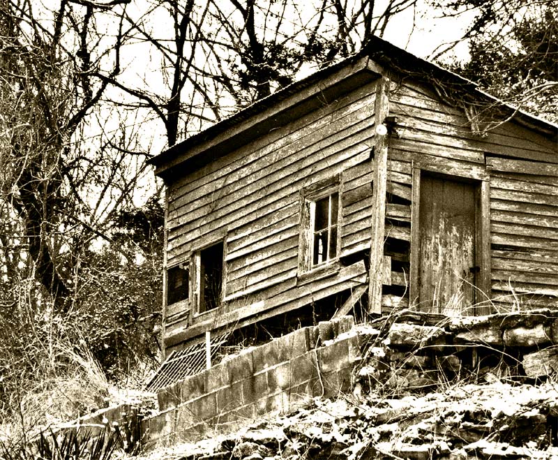 Photography by mcremin for DesignCrowd (Community Contests) | Design #9040185