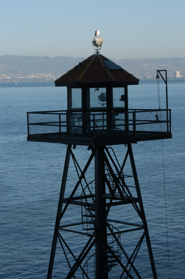 Photography by kcfemme for DesignCrowd (Community Contests) | Design #9040540