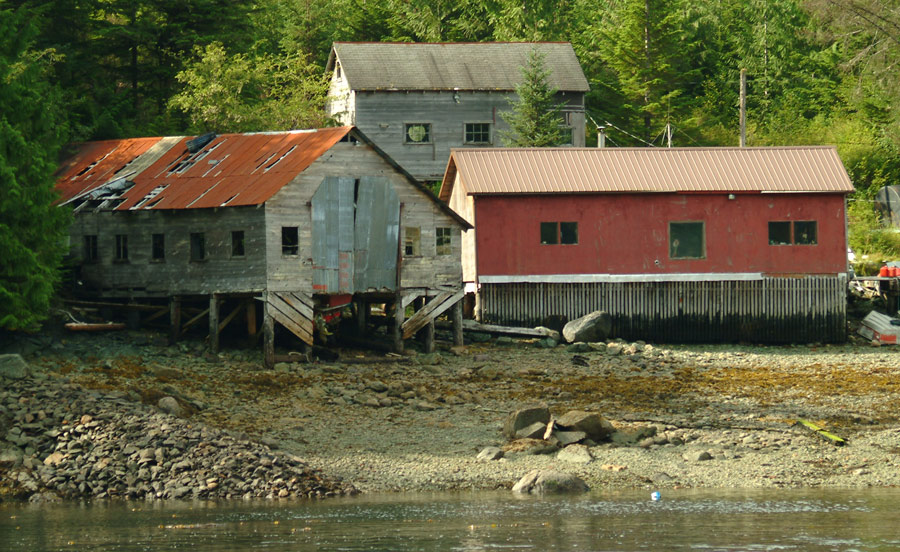 Photography by kcfemme for DesignCrowd (Community Contests) | Design #9040180