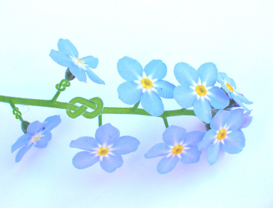 Photoshop Design by SarahSch for DesignCrowd (Community Contests) | Design #9041752