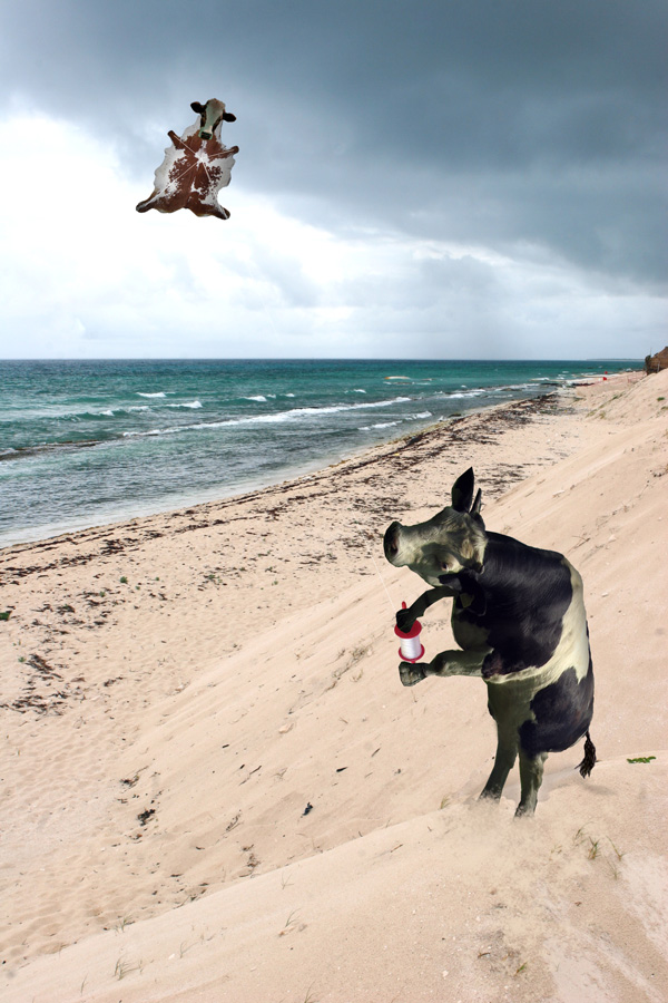 Photoshop-Design von katmgck für DesignCrowd (Community Contests) | Design #9041545