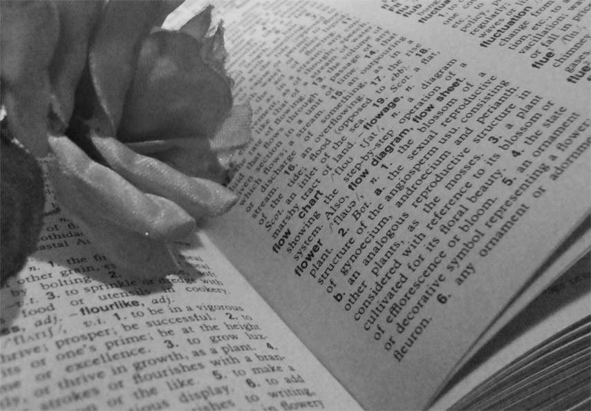 Photography by Ruberduck for DesignCrowd (Community Contests) | Design #9031733