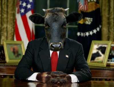 Diseño de Photoshop por wunderbar para DesignCrowd (Community Contests) | Diseño #9041556