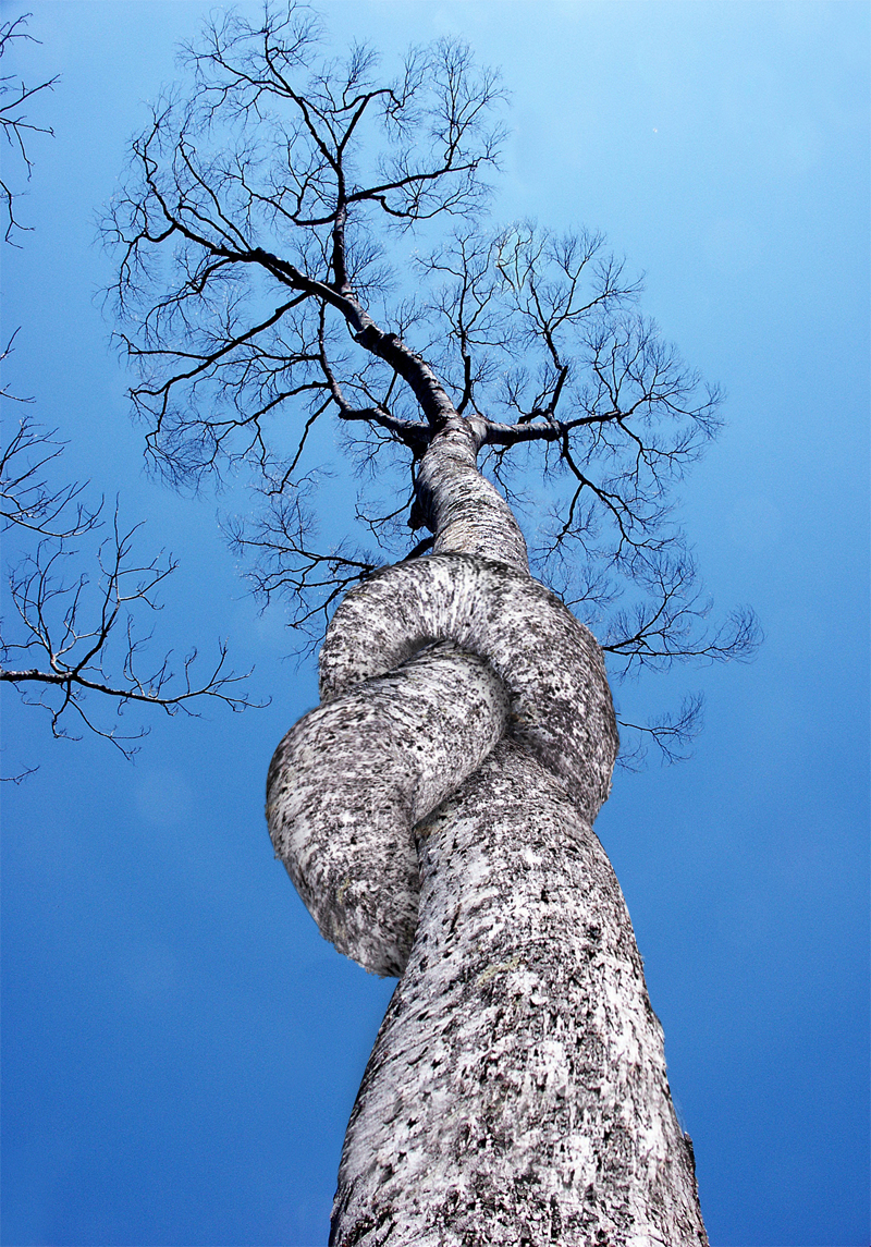 Photoshop Design by TIOCHICO for DesignCrowd (Community Contests) | Design #9041776