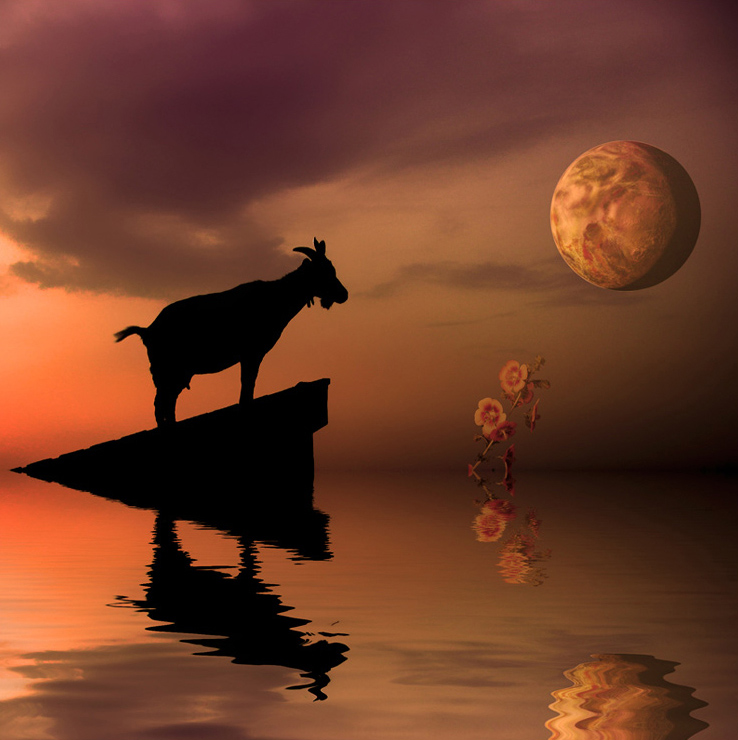 Diseño de Photoshop por StephenF para DesignCrowd (Community Contests) | Diseño #9041750