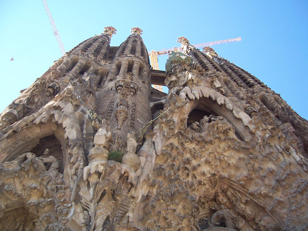 Photography by EddaRos for DesignCrowd (Community Contests) | Design #9040568