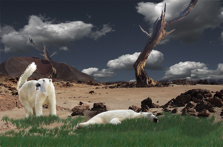 Diseño de Photoshop por mattbyng para DesignCrowd (Community Contests) | Diseño #9041786