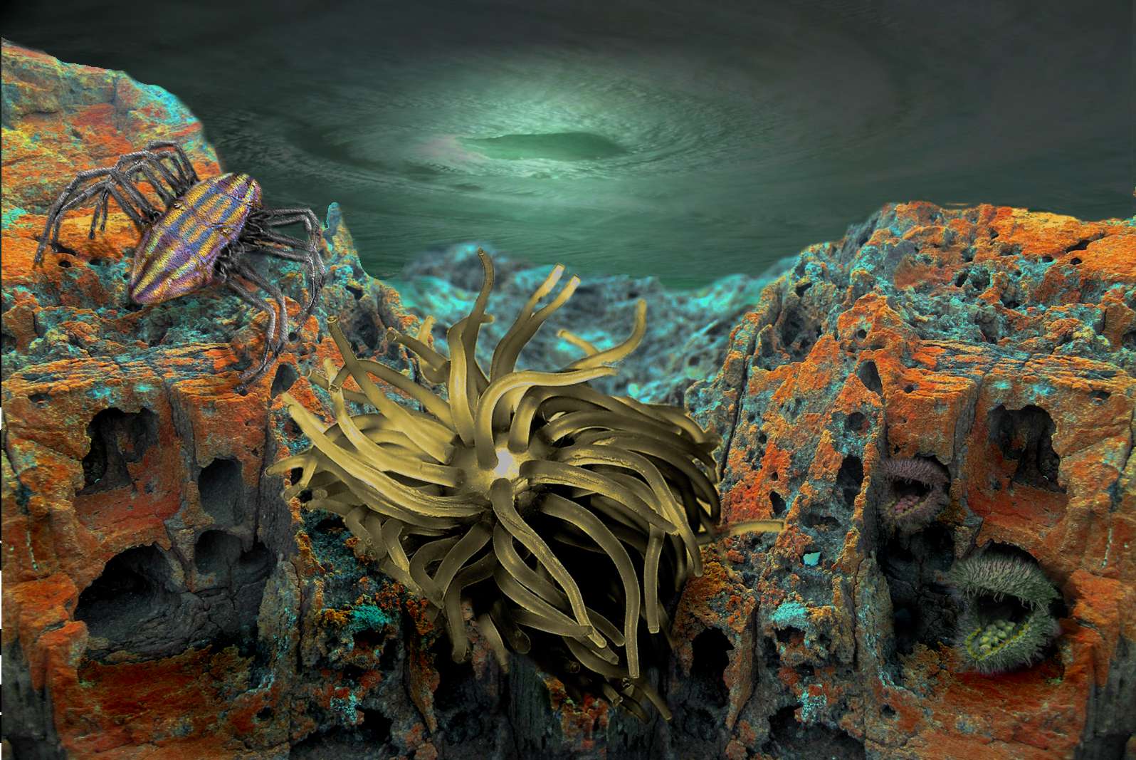 Diseño de Photoshop por Louweasel para DesignCrowd (Community Contests) | Diseño #9041781