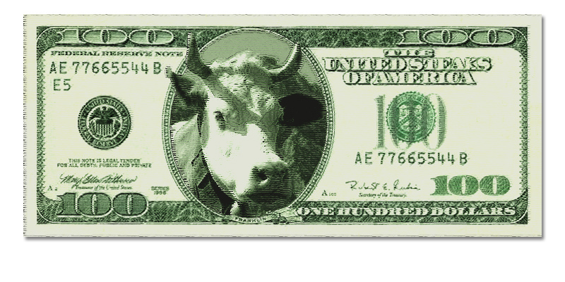 Photoshop Design by davidberettaowens for DesignCrowd (Community Contests) | Design #9041627