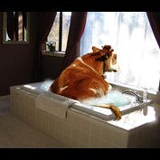 Photoshop Design by sugarcane