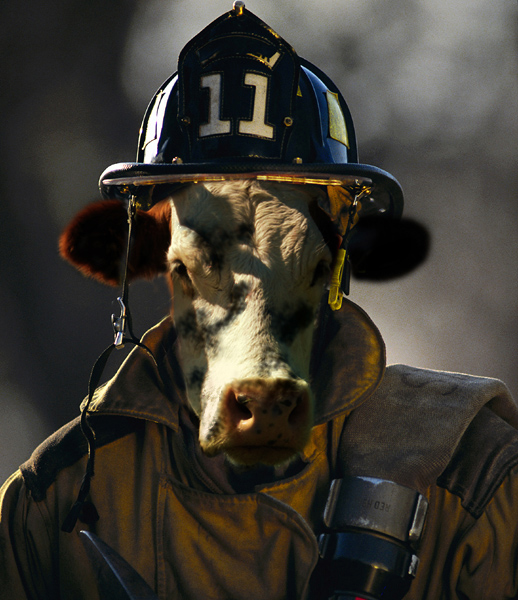 Photoshop-Design von bingobaby für DesignCrowd (Community Contests) | Design #9041601