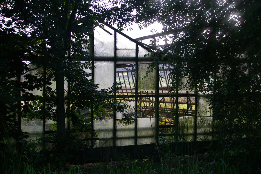 Photography by Bassie for DesignCrowd (Community Contests) | Design #9040314