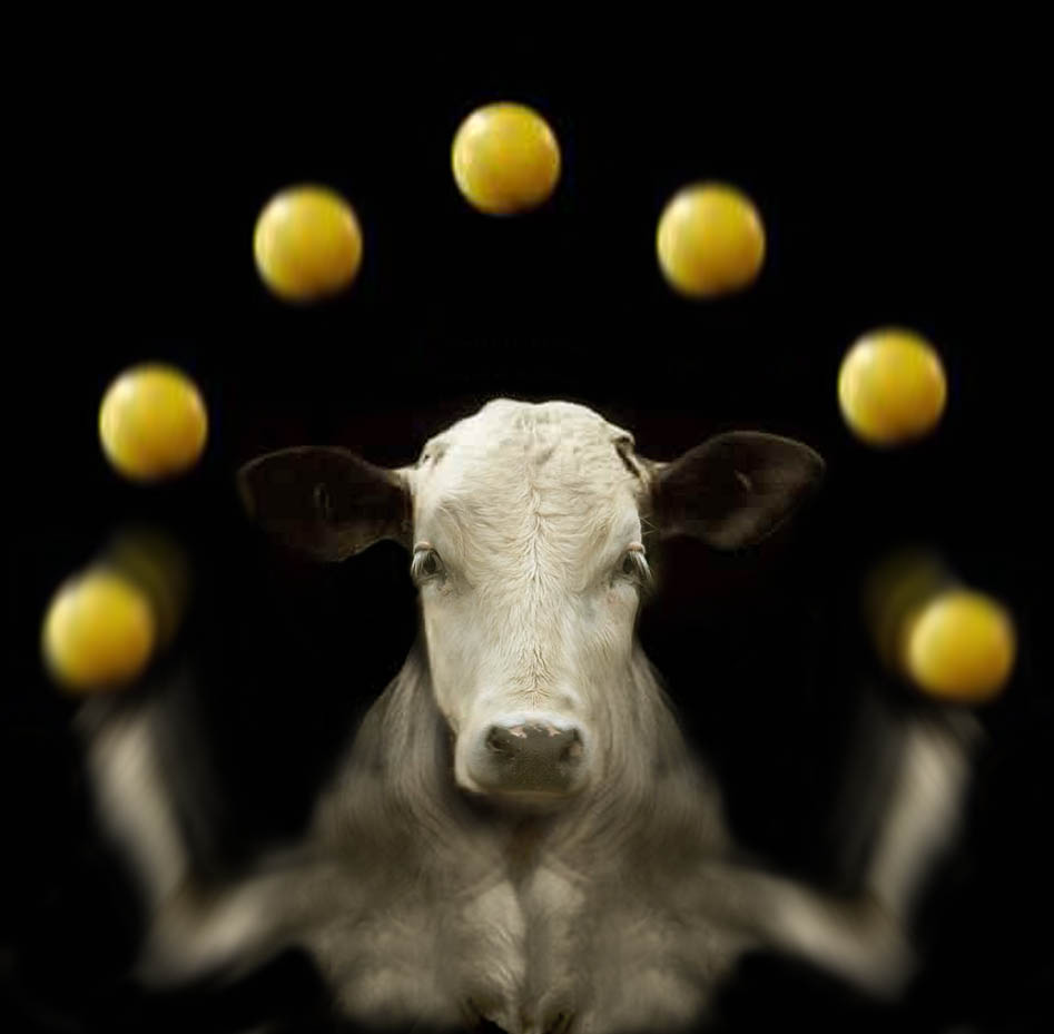 Photoshop-Design von ozlemarc für DesignCrowd (Community Contests) | Design #9041721