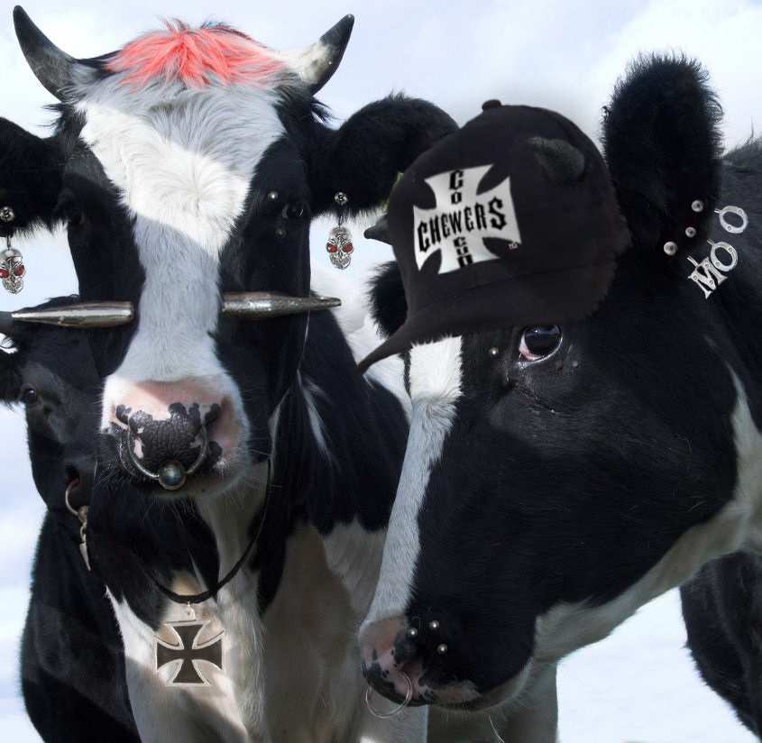 Diseño de Photoshop por hypnotode para DesignCrowd (Community Contests) | Diseño #9041688