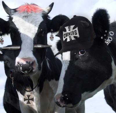 Photoshop Design by hypnotode