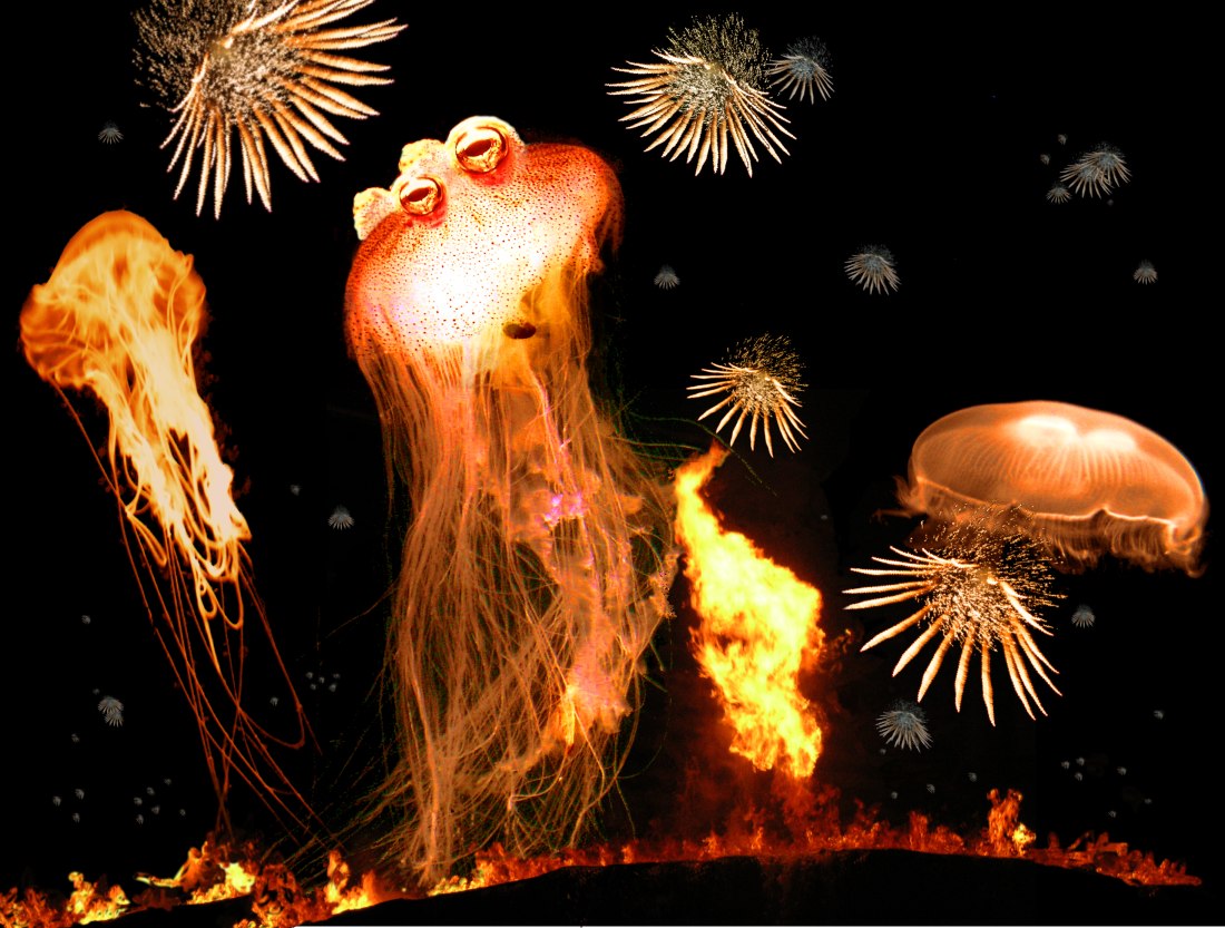 Photoshop-Design von cleareyes für DesignCrowd (Community Contests) | Design #9041839