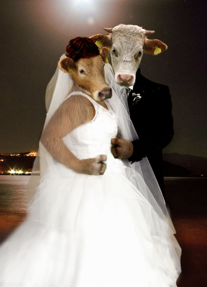 Diseño de Photoshop por mayfae para DesignCrowd (Community Contests) | Diseño #9041663