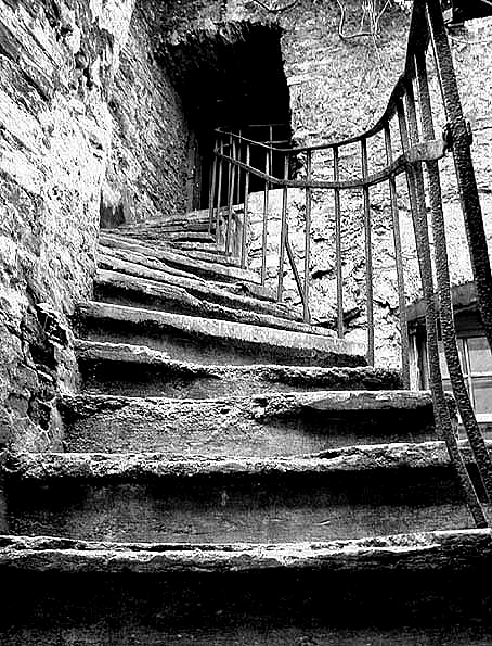 Photography by Limitchik for DesignCrowd (Community Contests) | Design #9040270