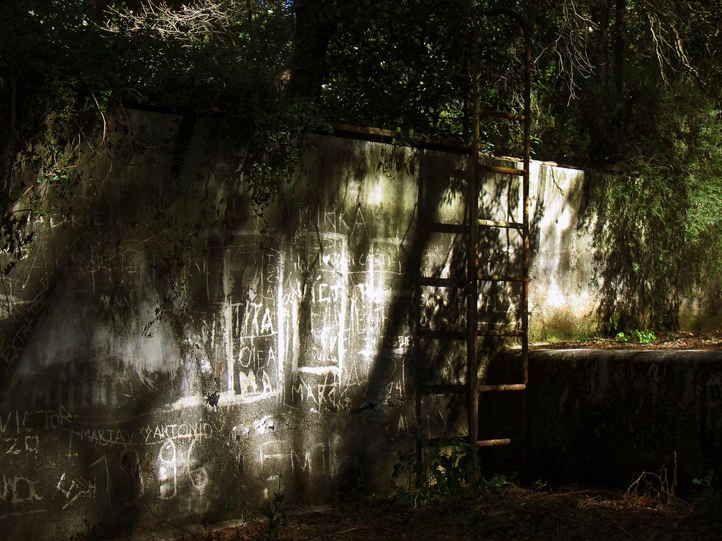 Fotografía por tonettonet para DesignCrowd (Community Contests) | Diseño #9040209