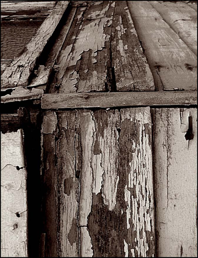 Photographie par gymp93 pour DesignCrowd (Community Contests) | Design #9040408