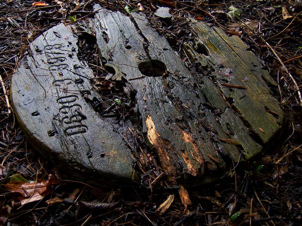 Fotografie von DutchPuh für DesignCrowd (Community Contests) | Design #9040431