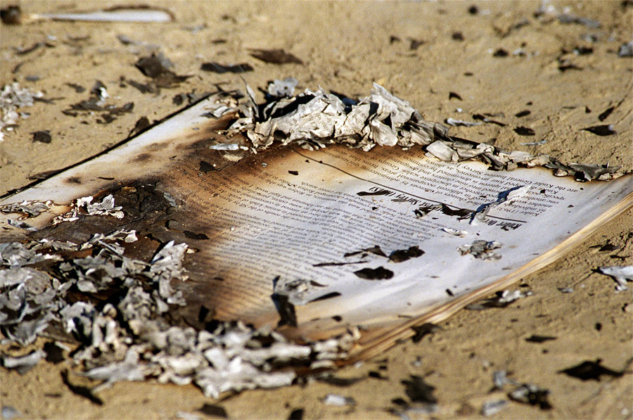 Photography by xb70valkyrie for DesignCrowd (Community Contests) | Design #9031889