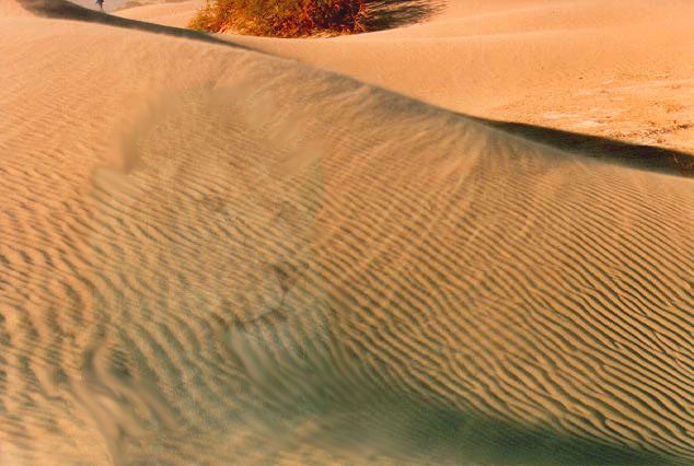 Photoshop-Design von dfwsusan für DesignCrowd (Community Contests) | Design #9043894