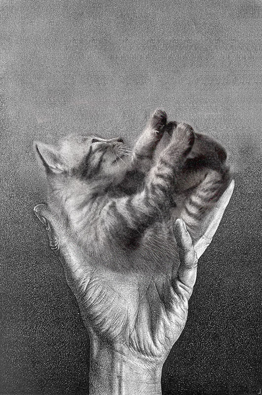 Photoshop Design by bingobaby for DesignCrowd (Community Contests) | Design #9038642