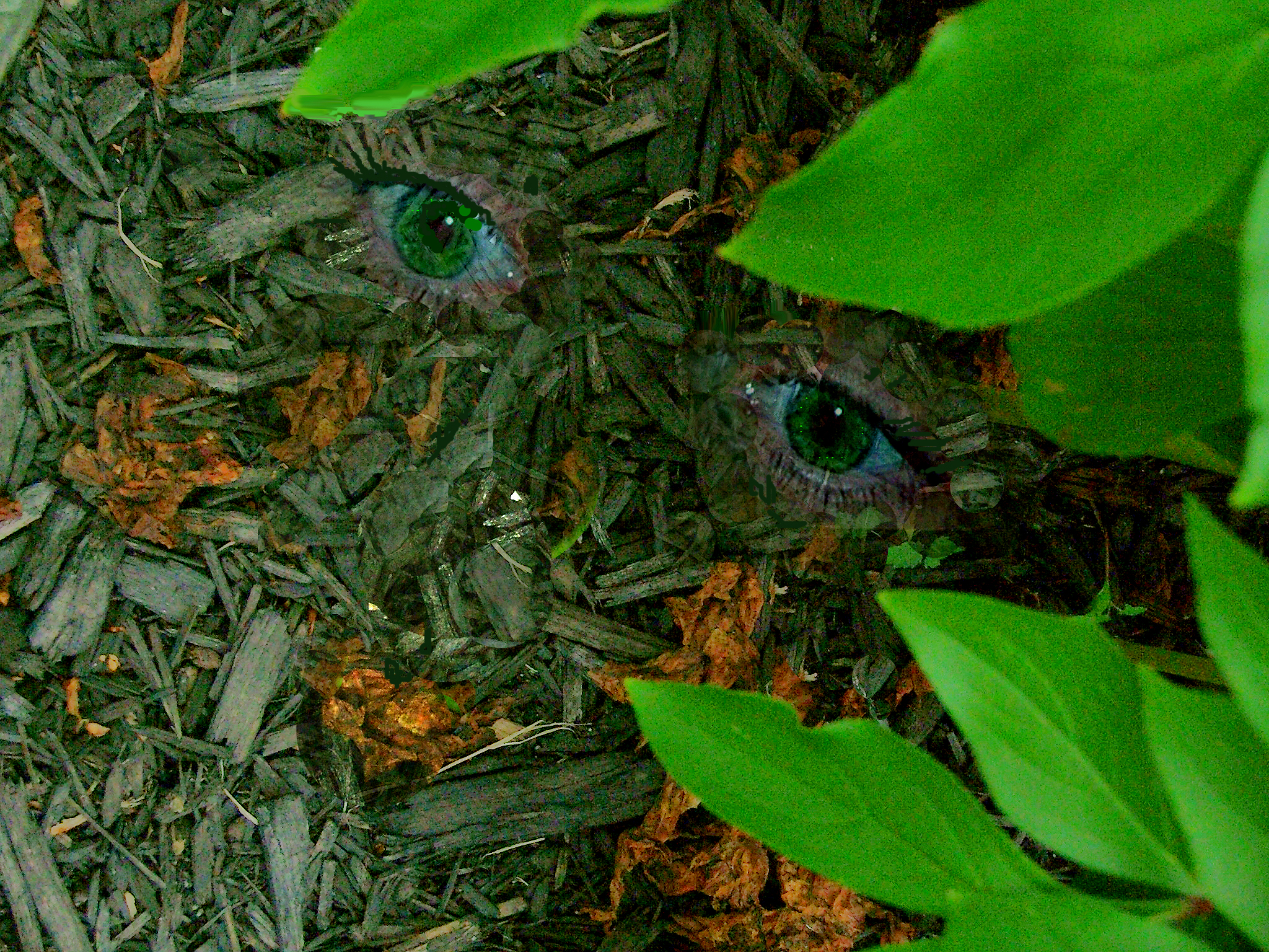 Design Photoshop par Lacenflanl pour DesignCrowd (Community Contests) | Design #9044083